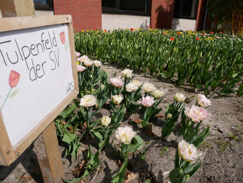 Aktion „Tulpen für Brot“